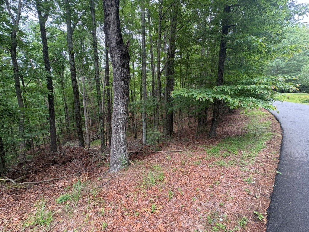 LOT 153 Etowah Drive