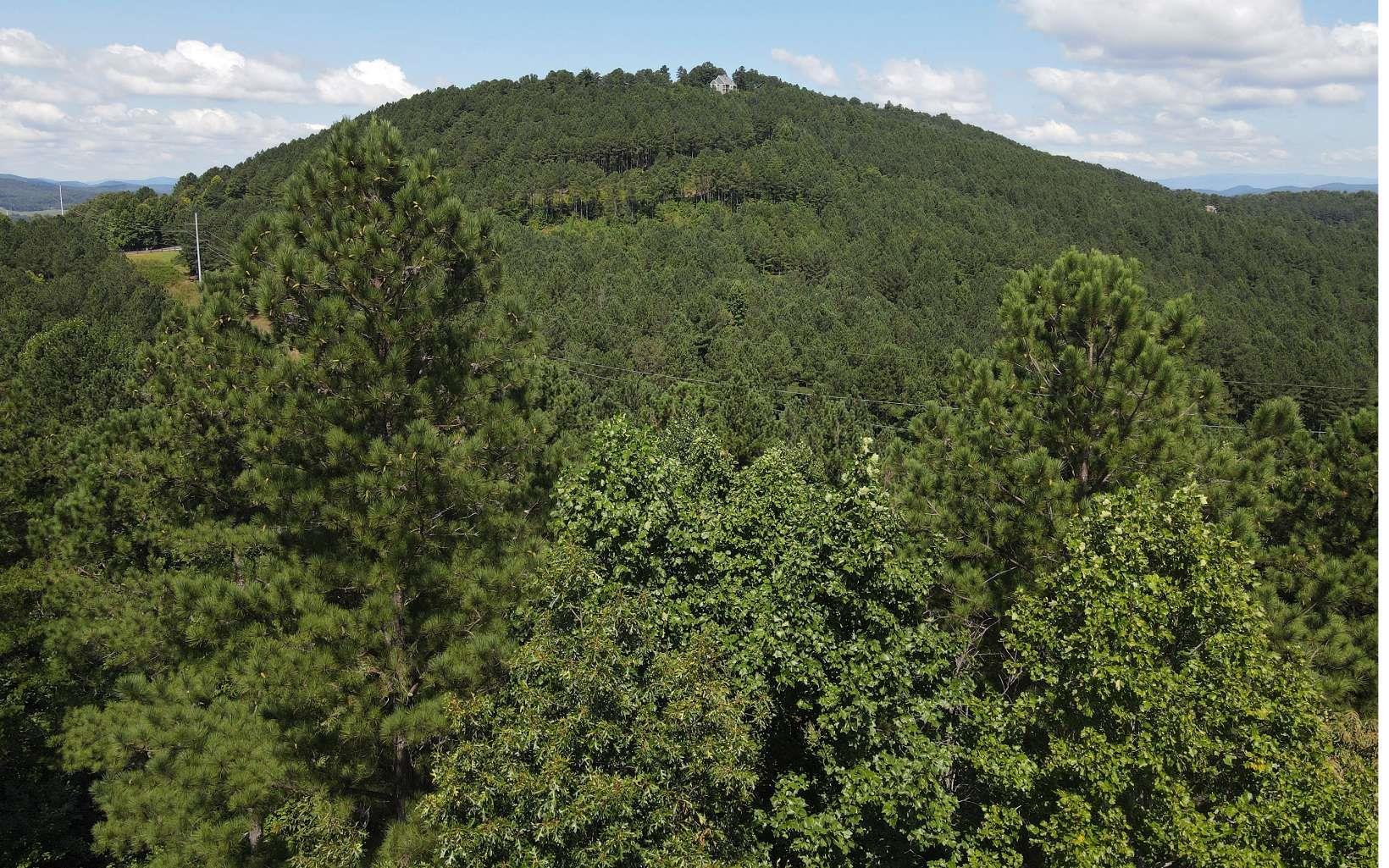 LT 62 Ridge Peak View