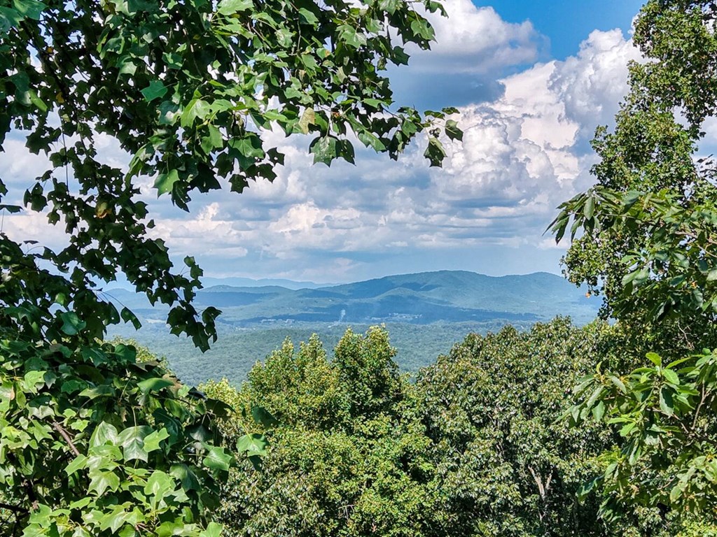 310 Hickory Fork