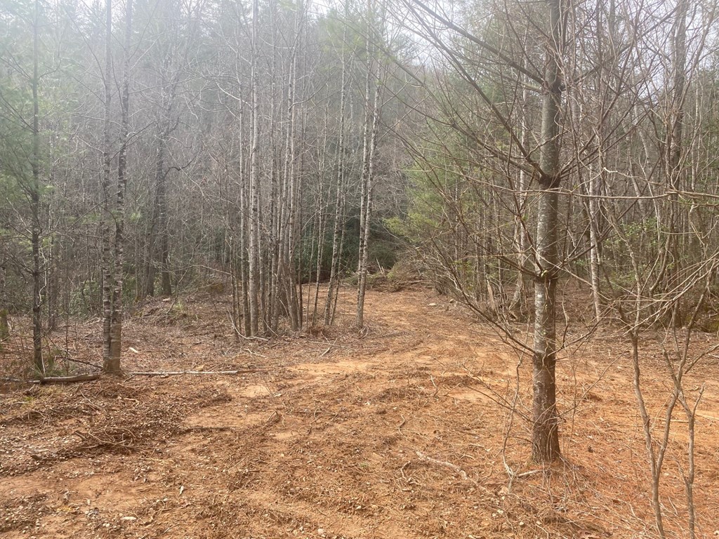 0 Flea Mountain Road