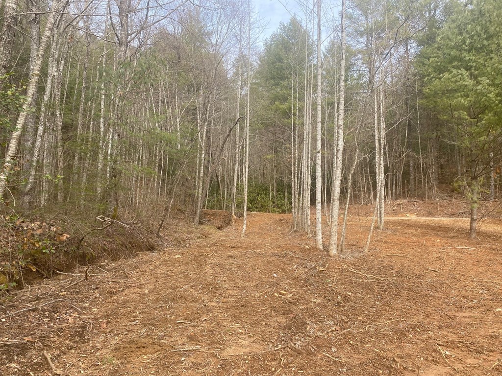 0 Flea Mountain Road