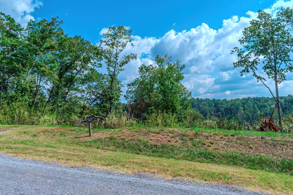 Lot 50 Jakes Landing Way