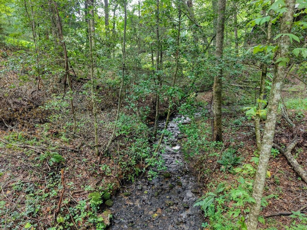 2479 Plum Orchard Road