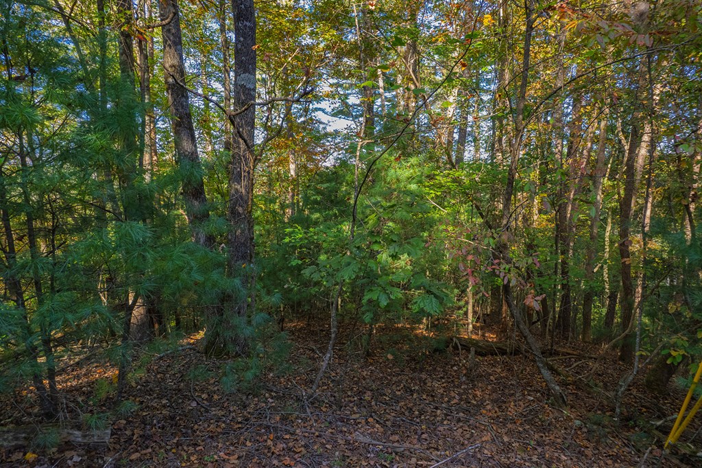 LT 1199 Lancer Court