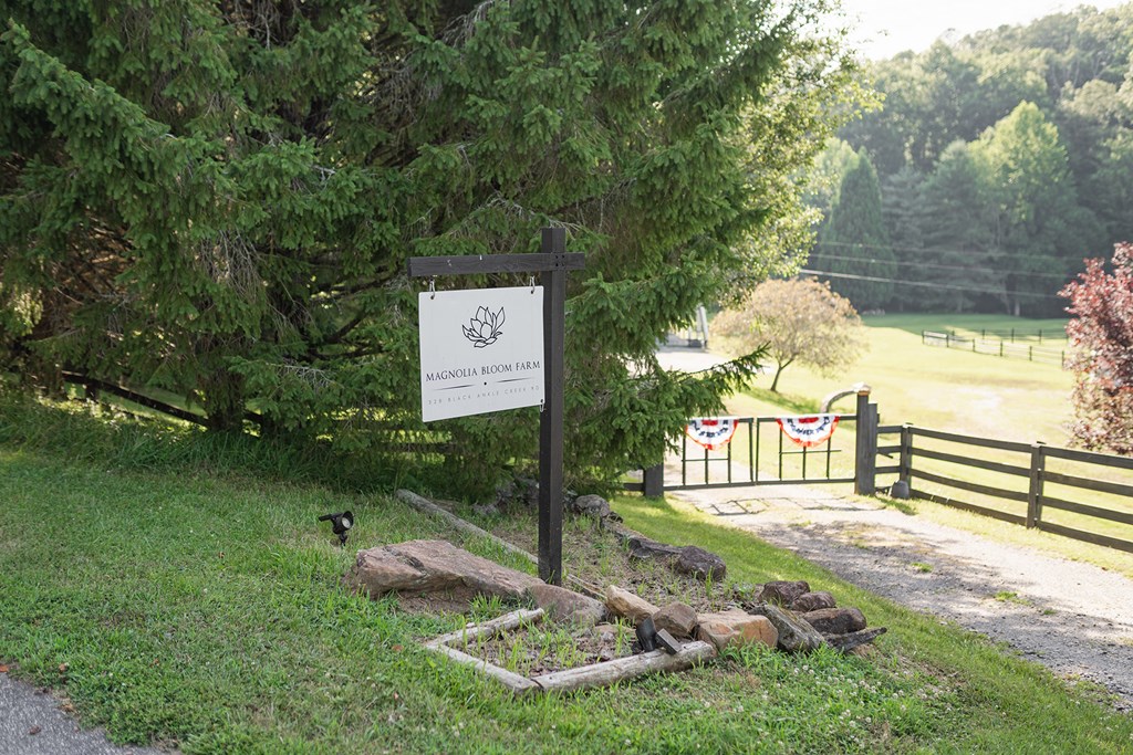 328 Black Ankle Creek Road