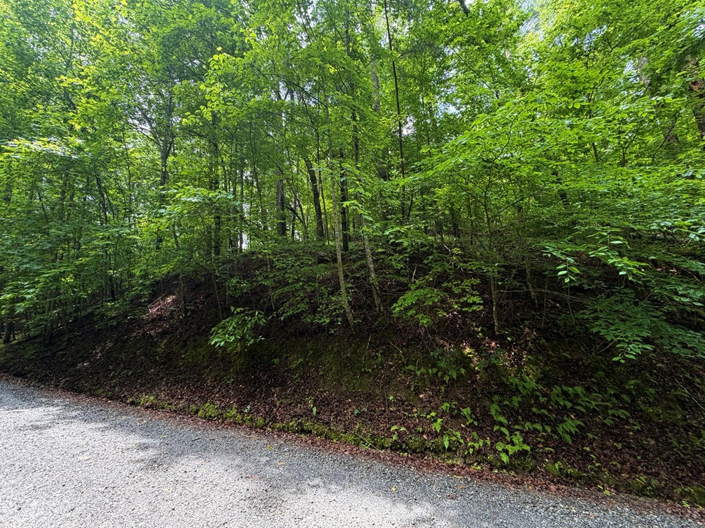 LT 144 Alcan Way