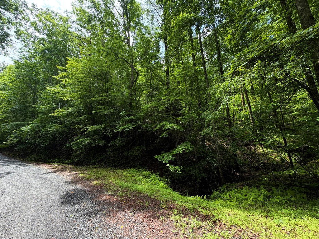 LT 144 Alcan Way