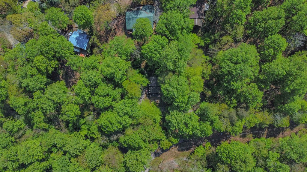 Ellijay, Georgia 30536, United States, 3 Bedrooms Bedrooms, ,3 BathroomsBathrooms,Residential,Active,59477