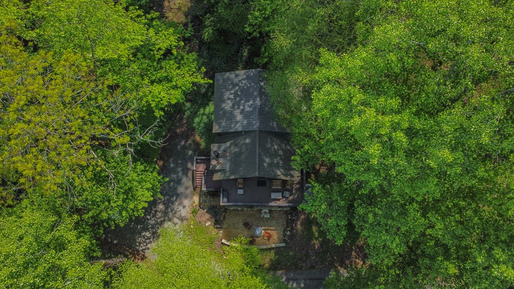 Ellijay, Georgia 30536, United States, 3 Bedrooms Bedrooms, ,3 BathroomsBathrooms,Residential,Active,59477