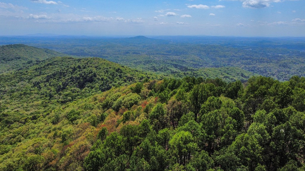 Ellijay, Georgia 30536, United States, 3 Bedrooms Bedrooms, ,3 BathroomsBathrooms,Residential,Active,59477