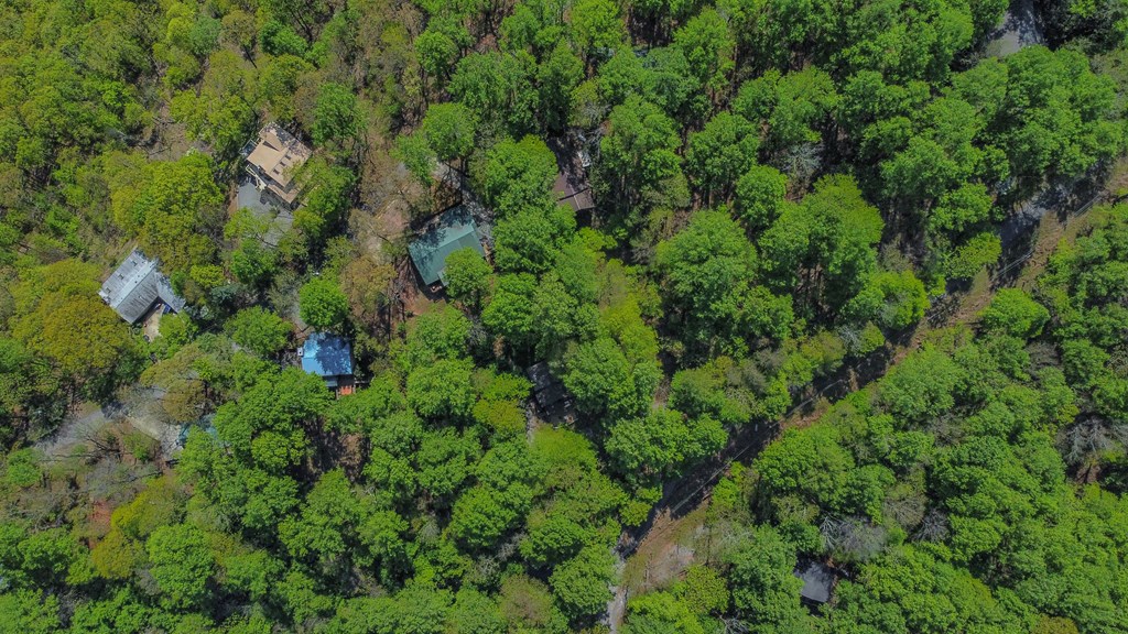 Ellijay, Georgia 30536, United States, 3 Bedrooms Bedrooms, ,3 BathroomsBathrooms,Residential,Active,59477