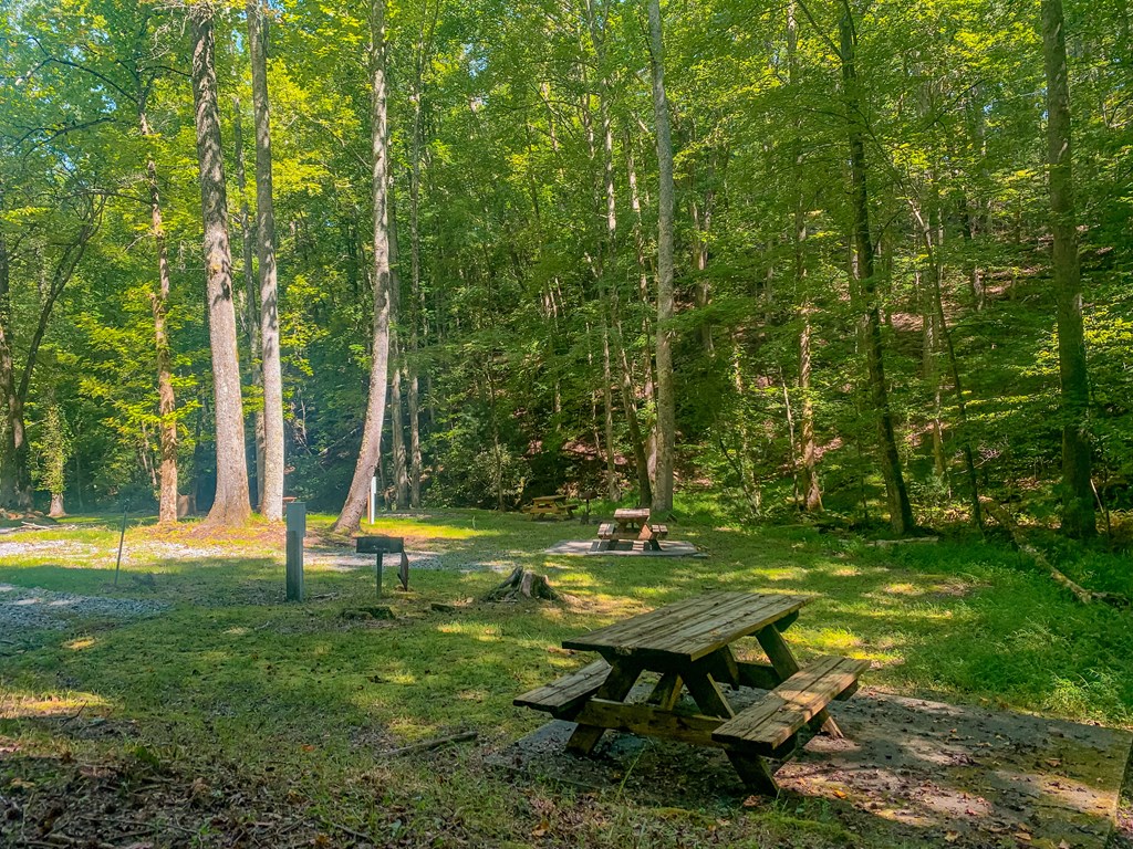 Ellijay, Georgia 30536, United States, 3 Bedrooms Bedrooms, ,3 BathroomsBathrooms,Residential,Active,59477