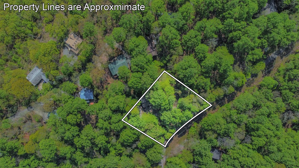 Ellijay, Georgia 30536, United States, 3 Bedrooms Bedrooms, ,3 BathroomsBathrooms,Residential,Active,59477