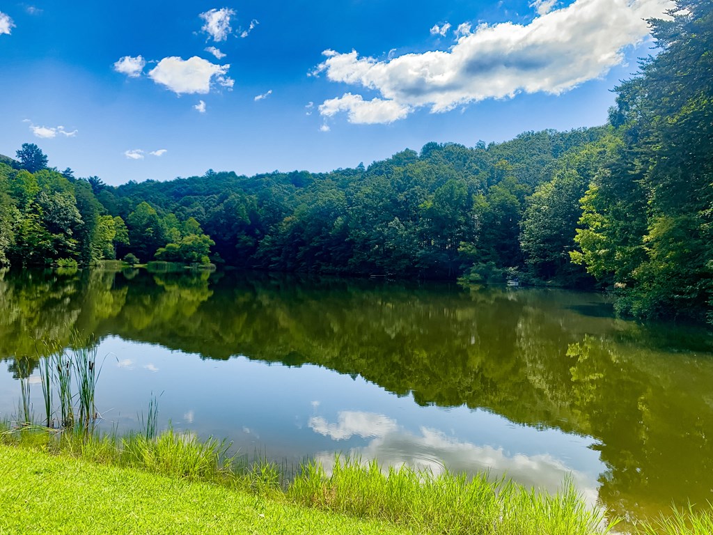 Ellijay, Georgia 30536, United States, 3 Bedrooms Bedrooms, ,3 BathroomsBathrooms,Residential,Active,59477