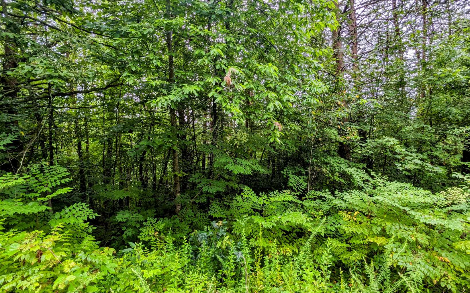 LOT32 Lakeview Drive