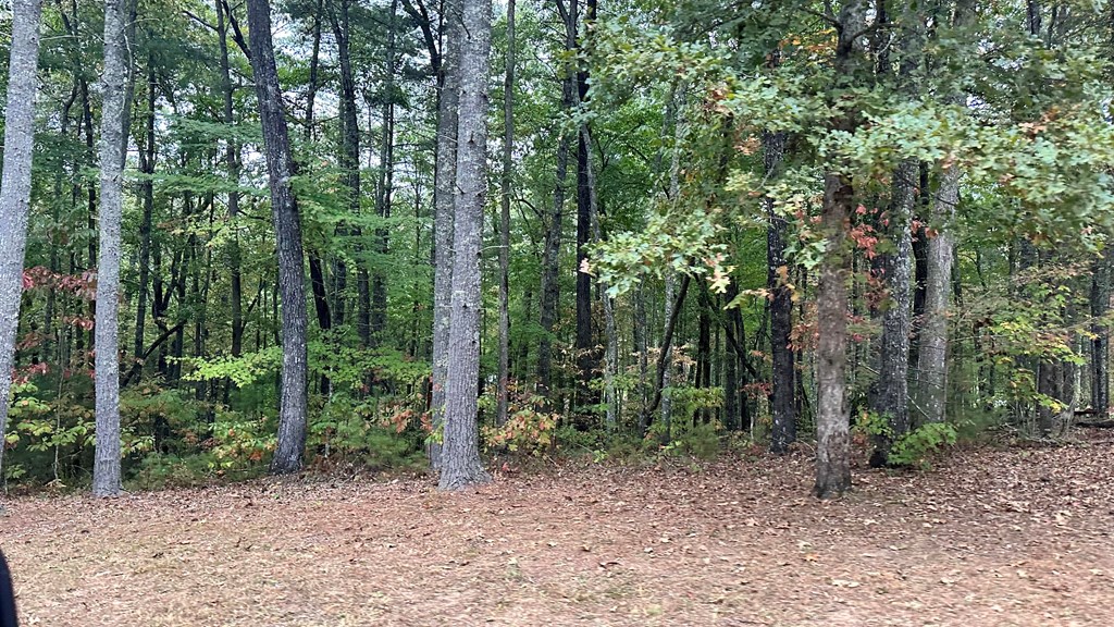 1.81 AC Nature Valley Trail