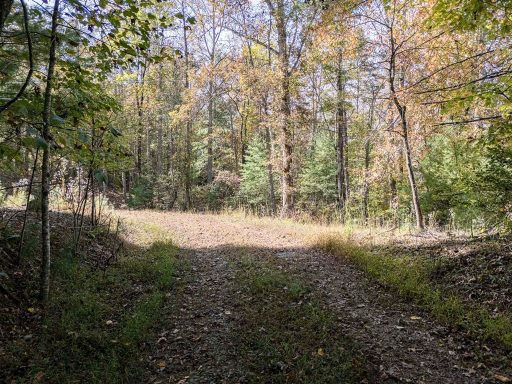 L21 & 22 Eastridge Court