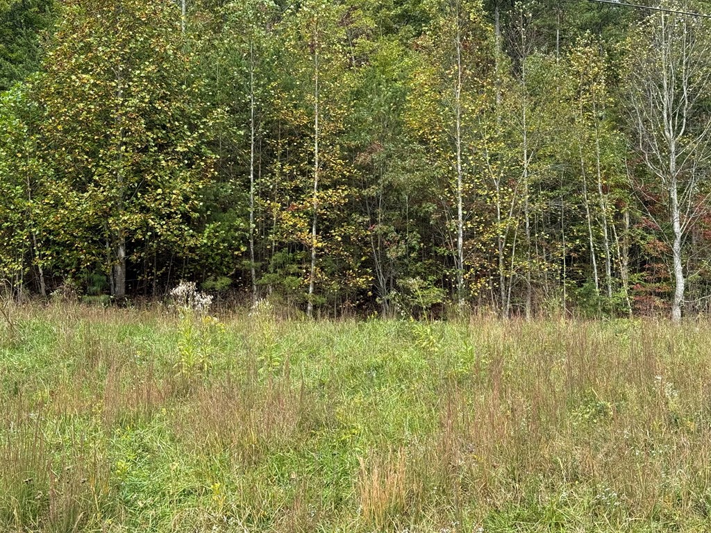 0 Lawrence Smith Road