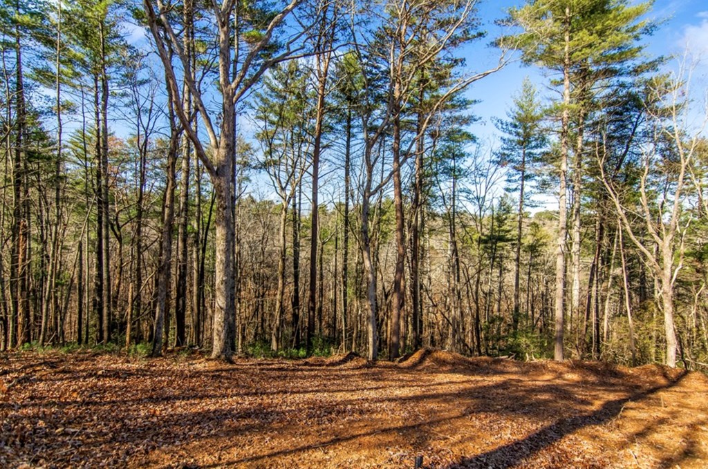 LT 11 Whispering Oaks Drive