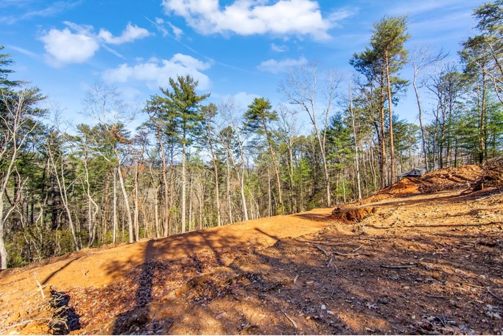 LT 11 Whispering Oaks Drive