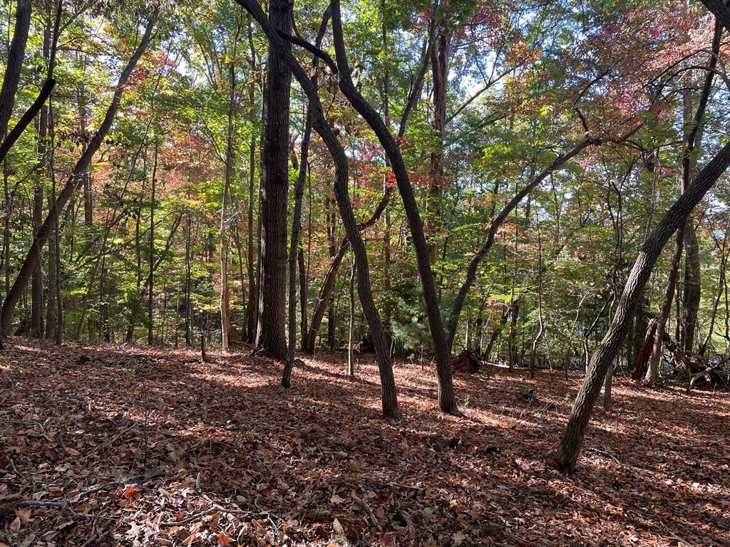 LOT 4 Covered Bridge Road