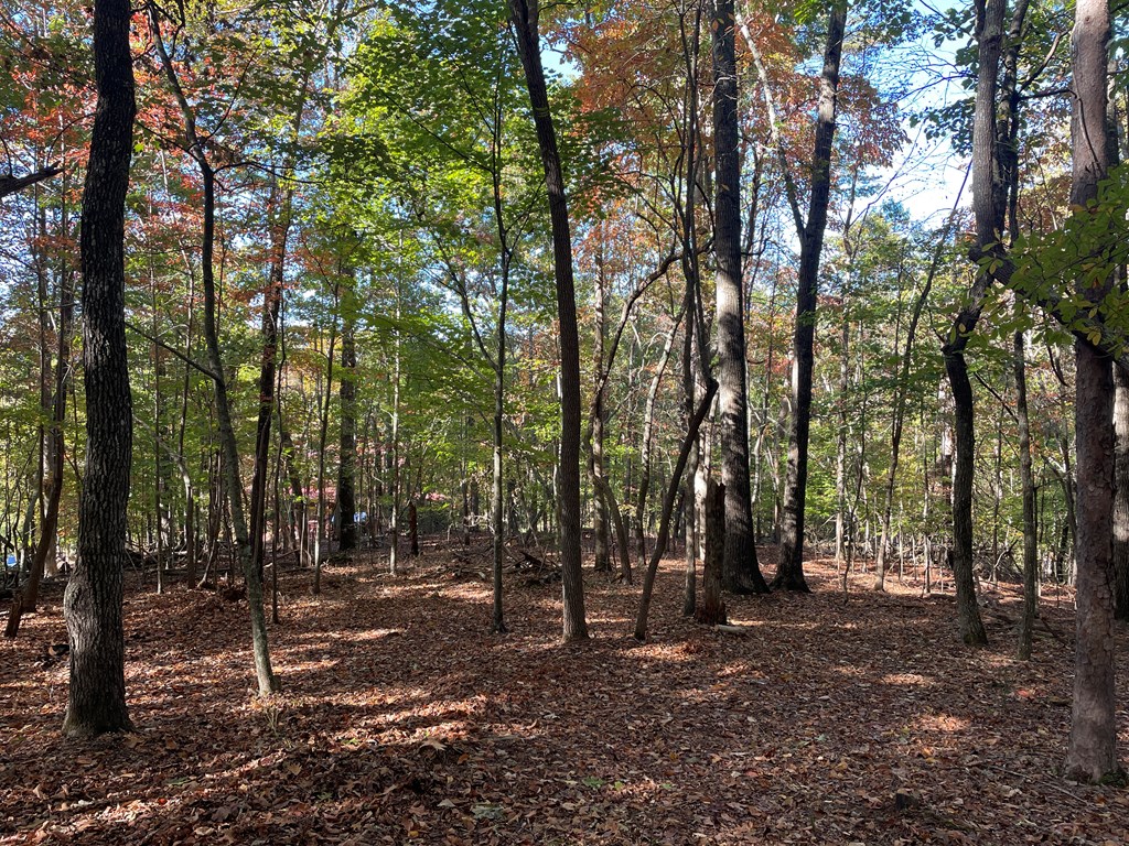 LOT 4 Covered Bridge Road