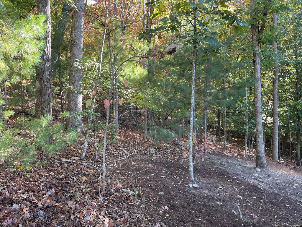LOT 4 Covered Bridge Road