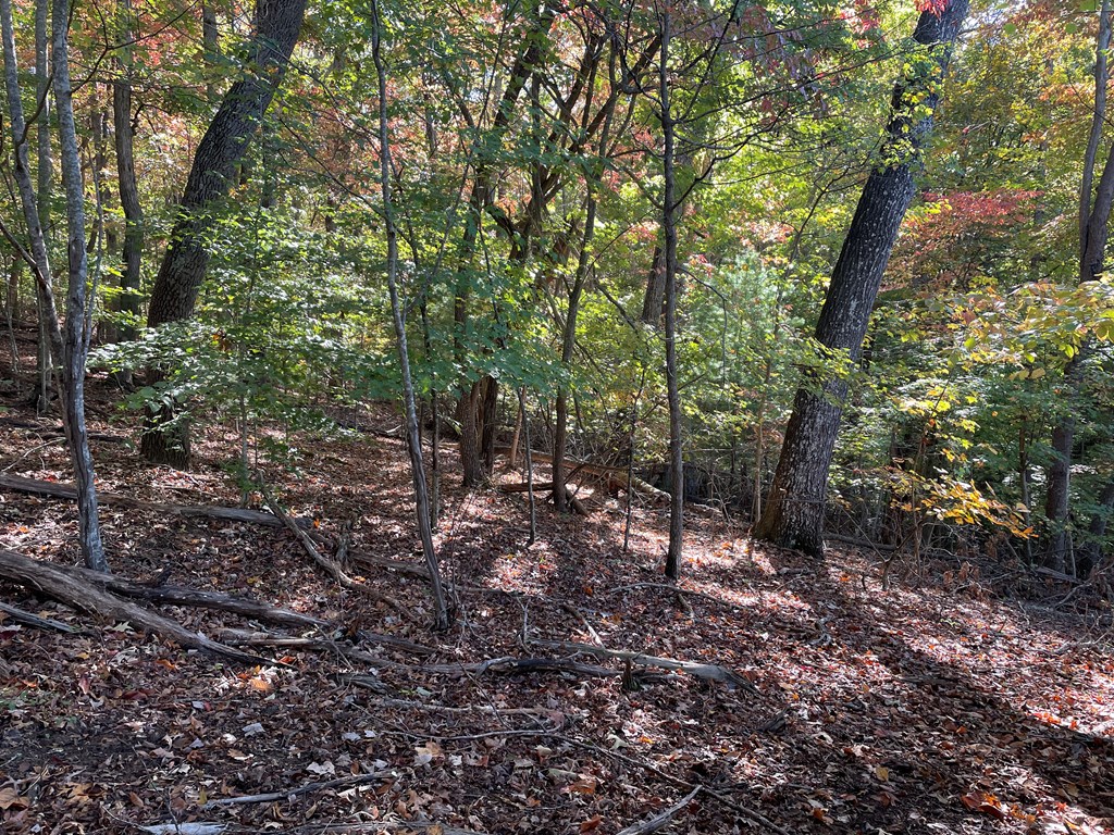 LOT 4 Covered Bridge Road