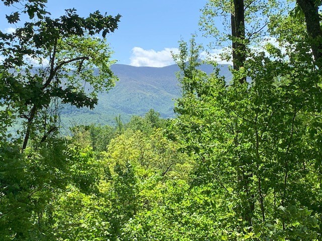 Lot 4 Morgan Ridge Drive