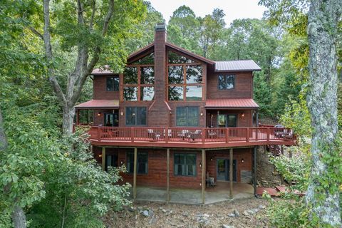 881 Fox Mountain Cherry Log GA 30522