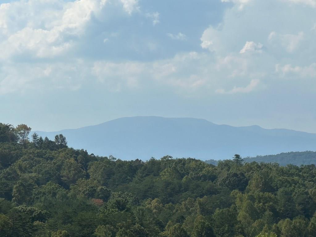 1067 Laurel Springs Road