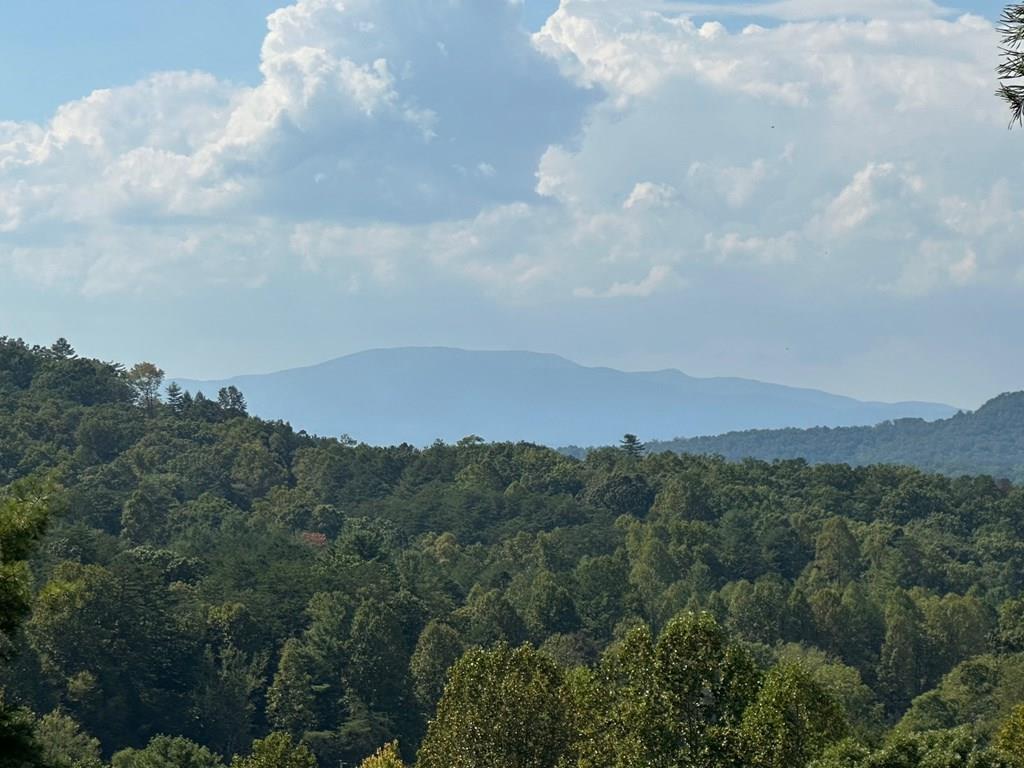 1067 Laurel Springs Road