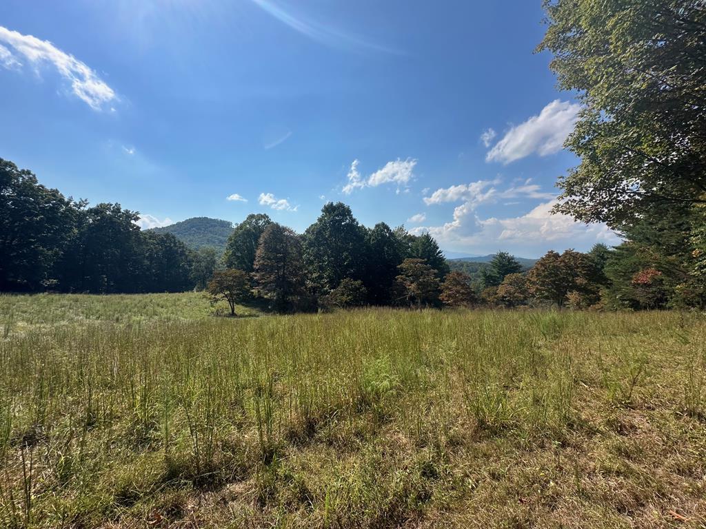1067 Laurel Springs Road