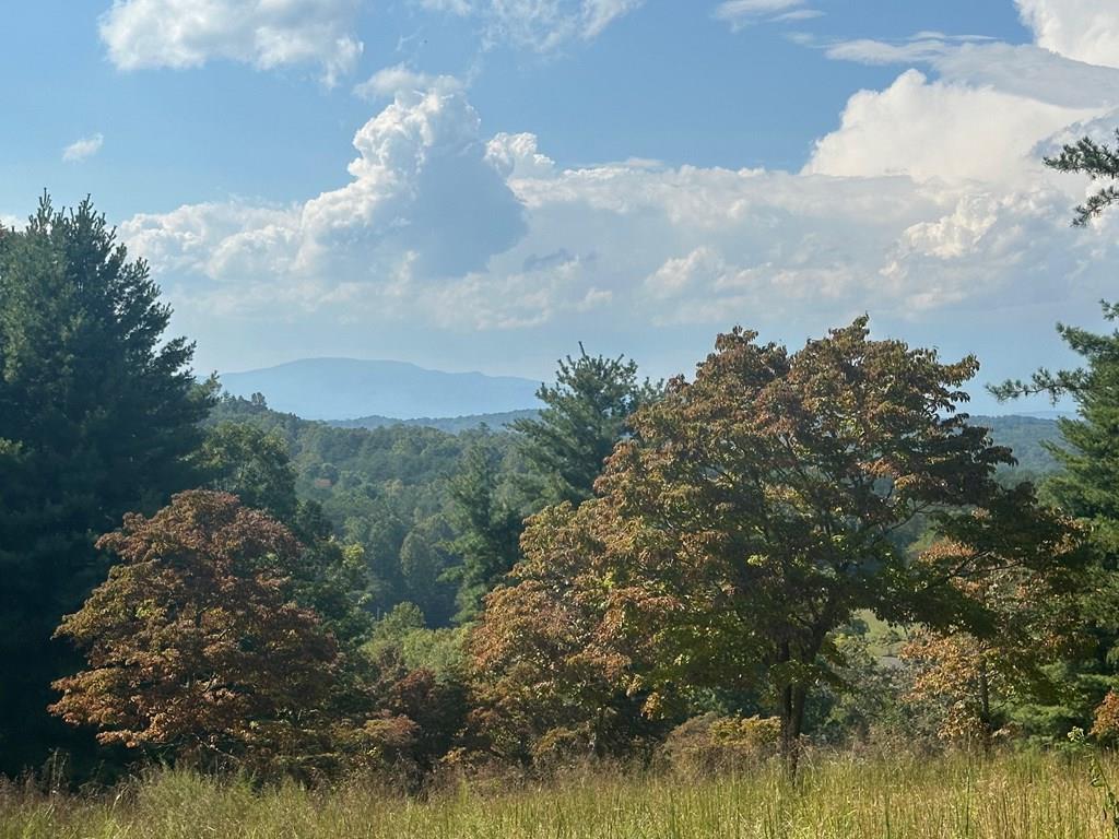 1067 Laurel Springs Road