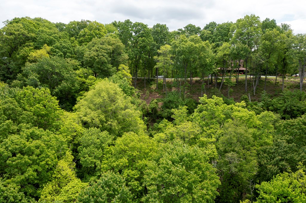 LT 61 Wilderness Creek Way