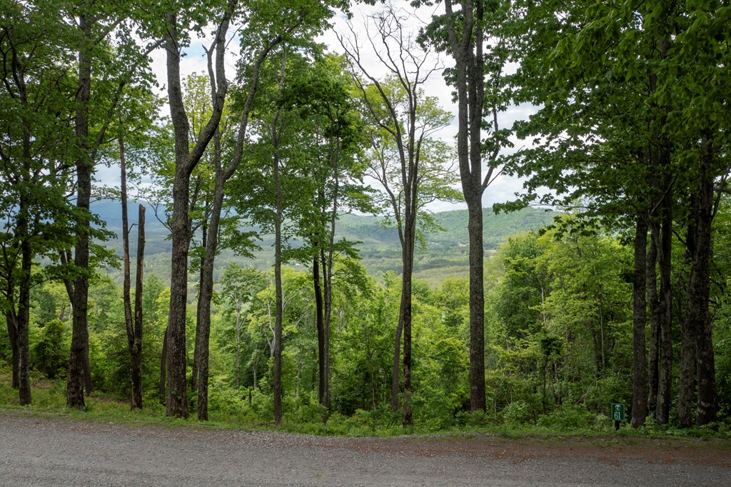 LT 61 Wilderness Creek Way