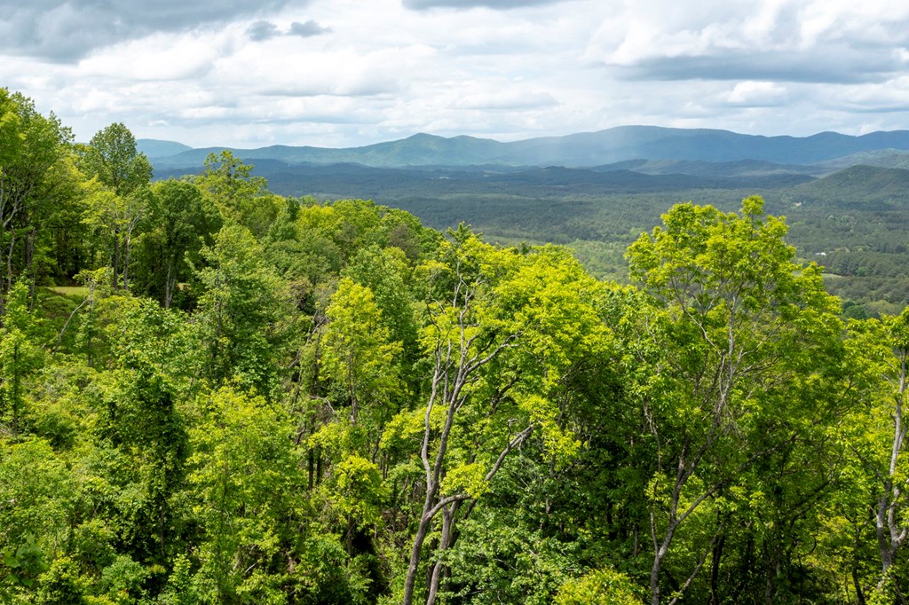 LT 61 Wilderness Creek Way