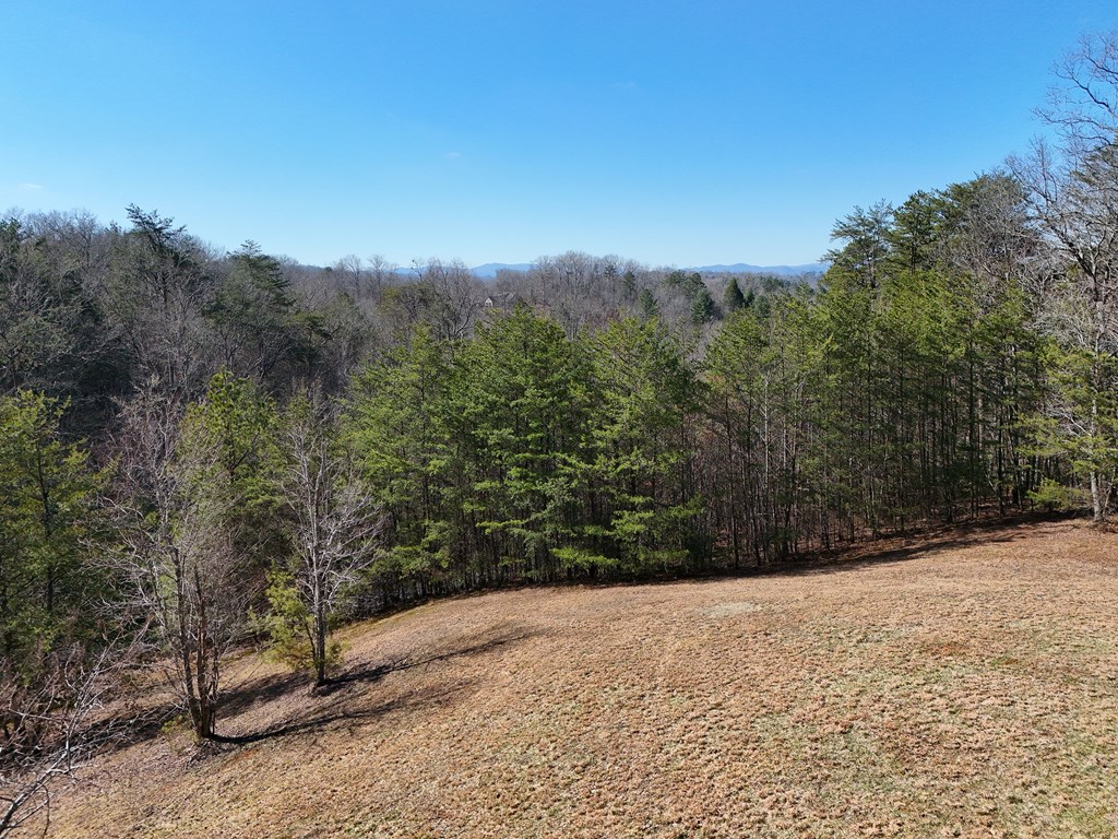 Lt 13/14 S Williamstown Ridge