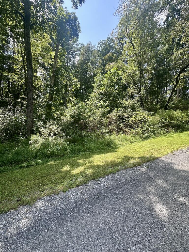 Lt 43 Hilton Drive