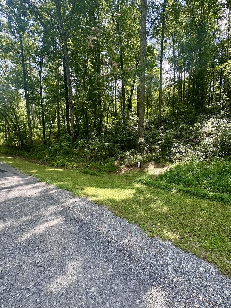 Lt 43 Hilton Drive