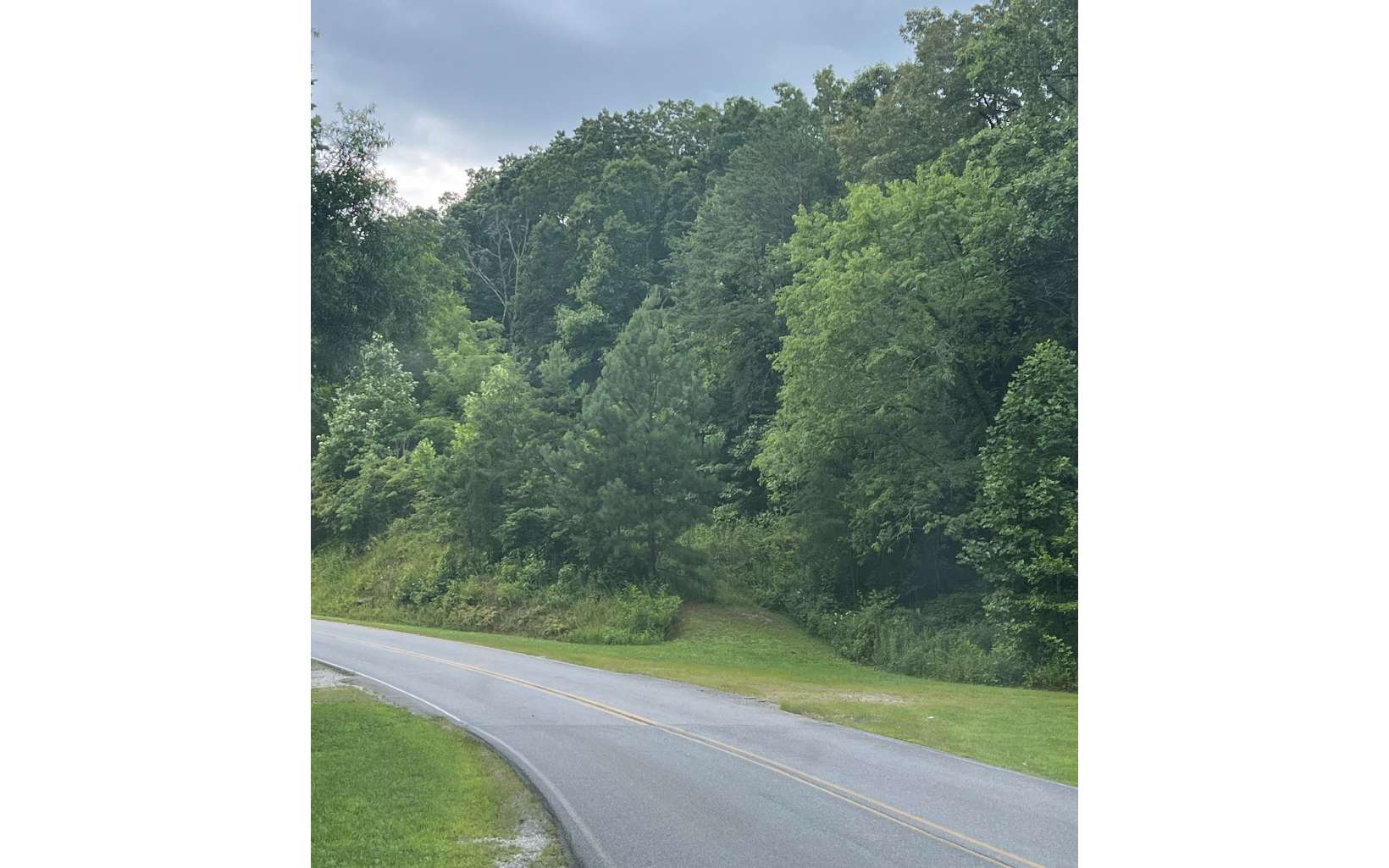 800 Sunrise Road