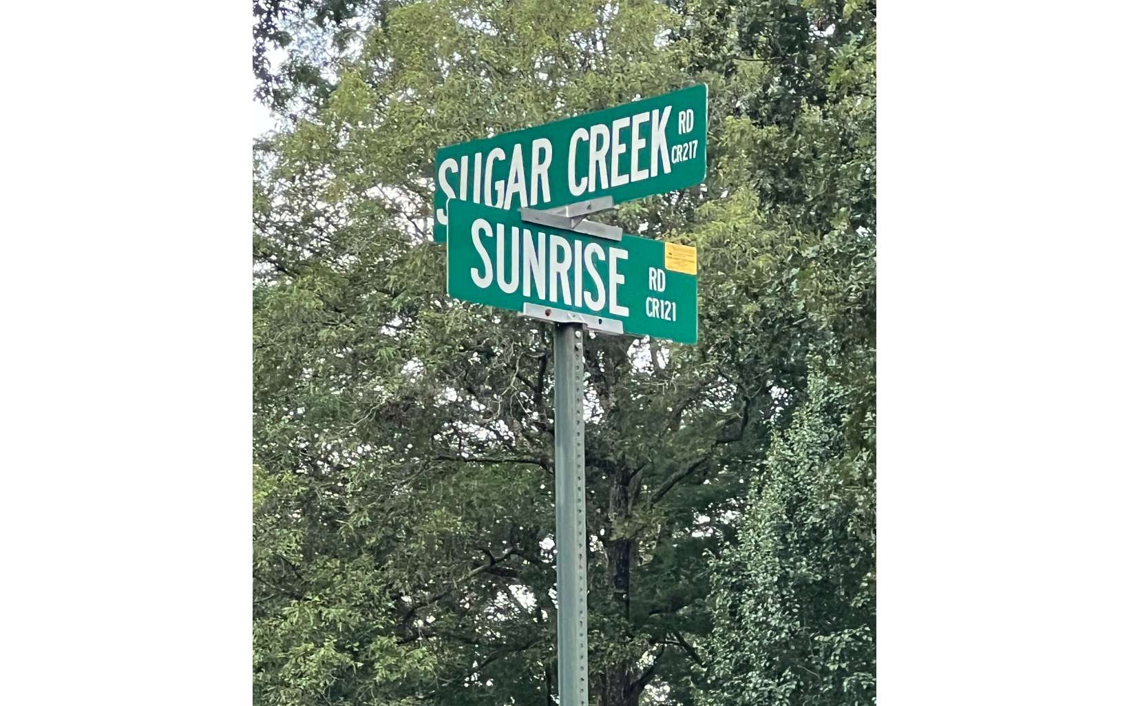 800 Sunrise Road