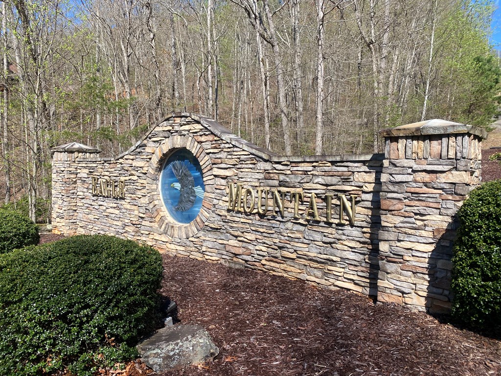 Lot 31 Crested Eagle Lane