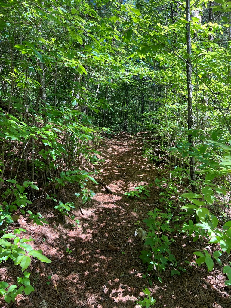 56 acres Old Hwy 5s