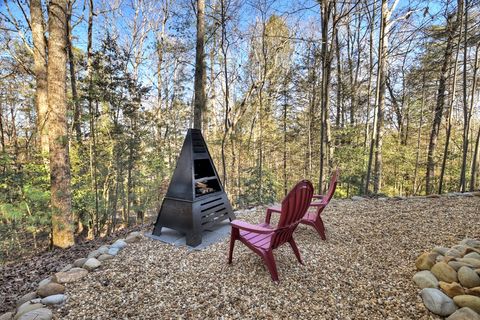 A home in Blue Ridge