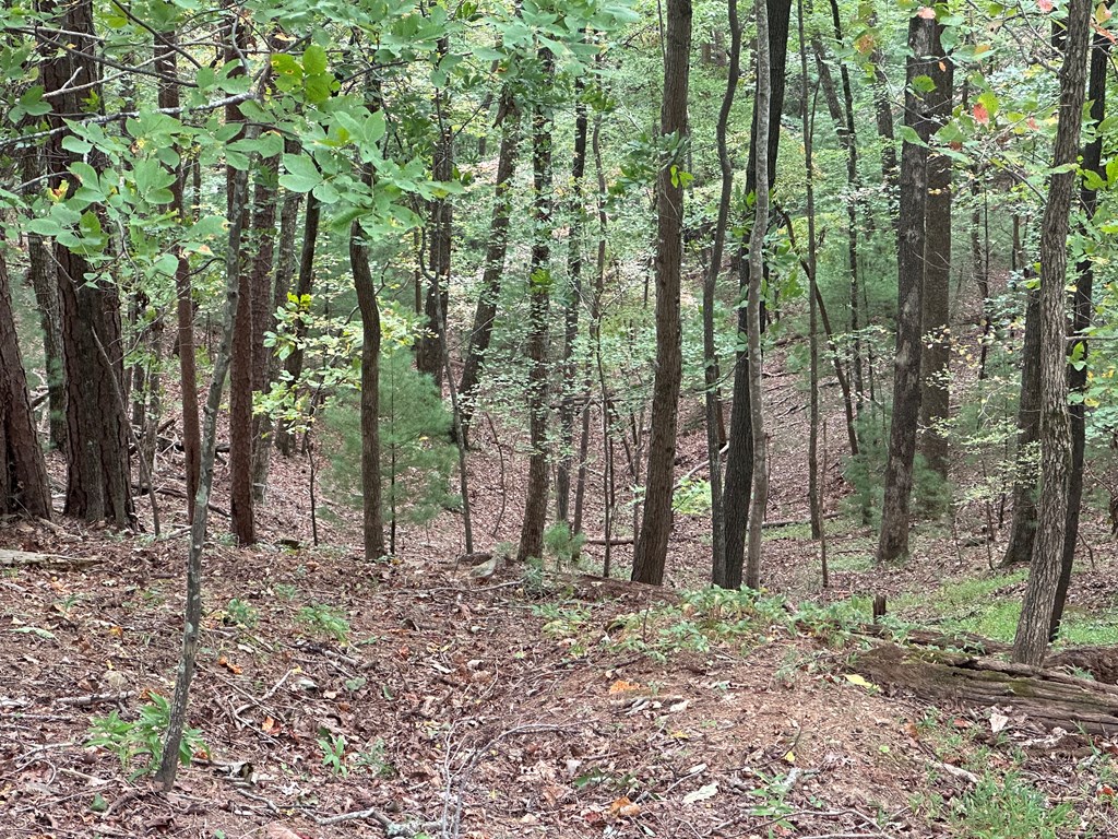 Lot A28 Laurel Ridge Drive