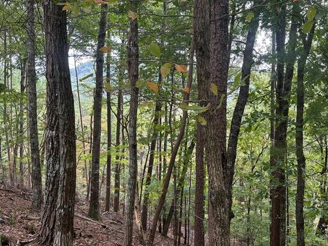 Lot A28 Laurel Ridge Drive Ellijay GA 30536