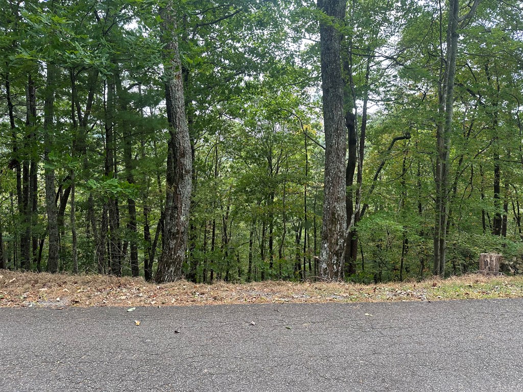 Lot A28 Laurel Ridge Drive
