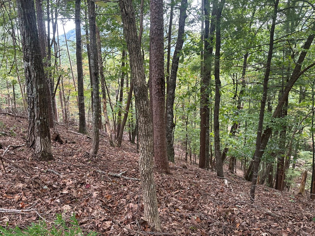 Lot A28 Laurel Ridge Drive