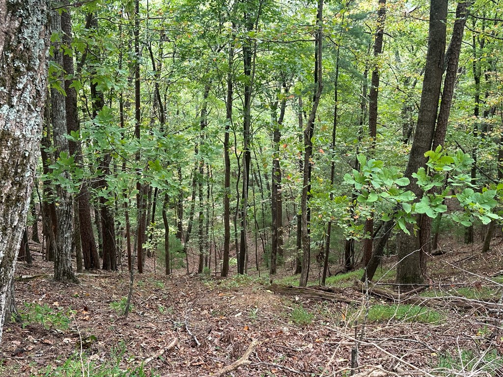 Lot A28 Laurel Ridge Drive